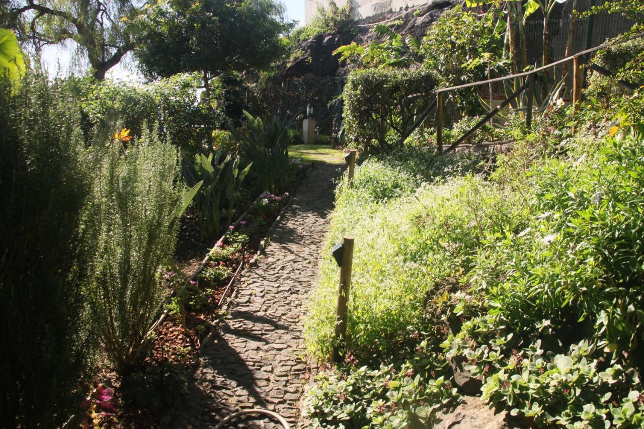 Bungalow Garden View