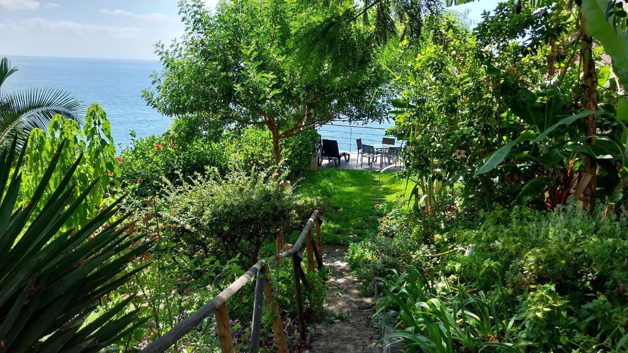 Bungalow Garden View