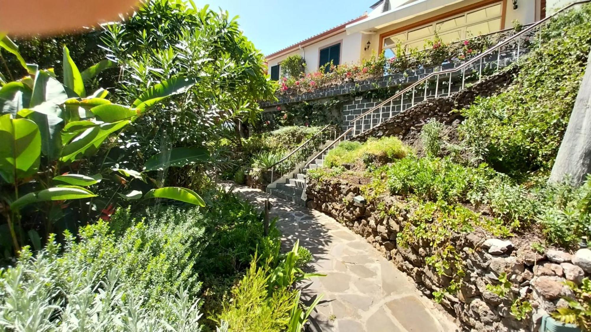 Bungalow Garden View