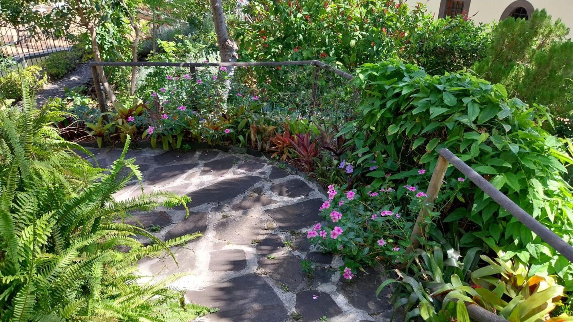 Bungalow Garden View