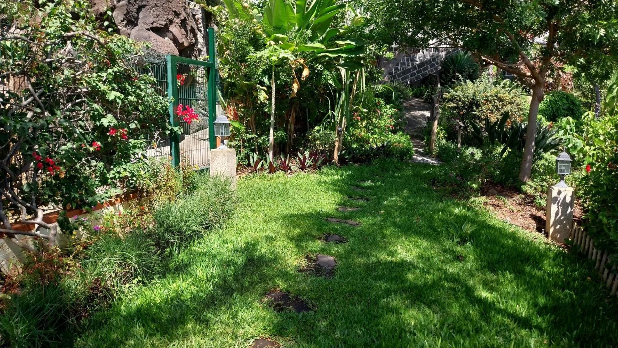 Bungalow Garden View