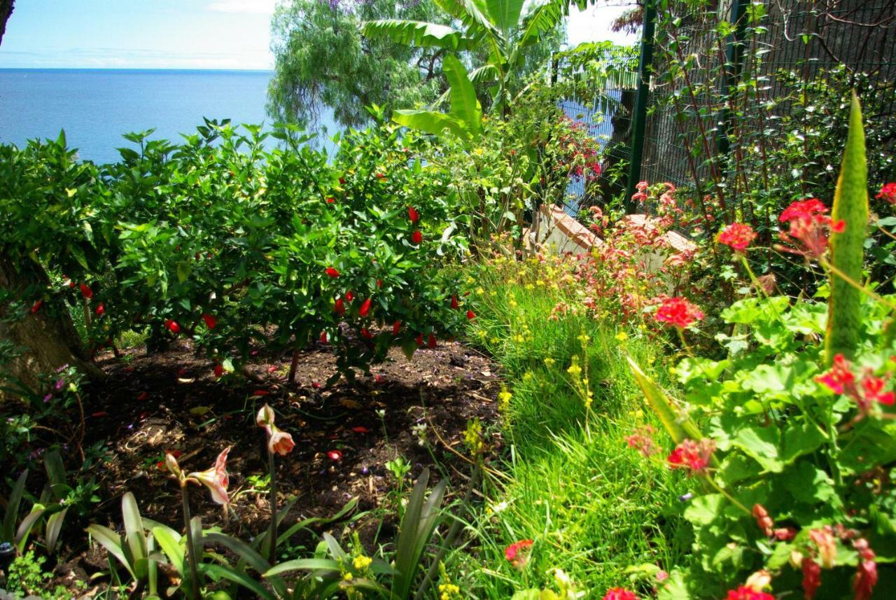 Bungalow Garden View