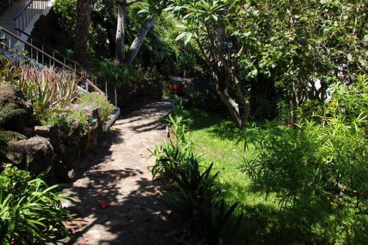 Bungalow Garden View