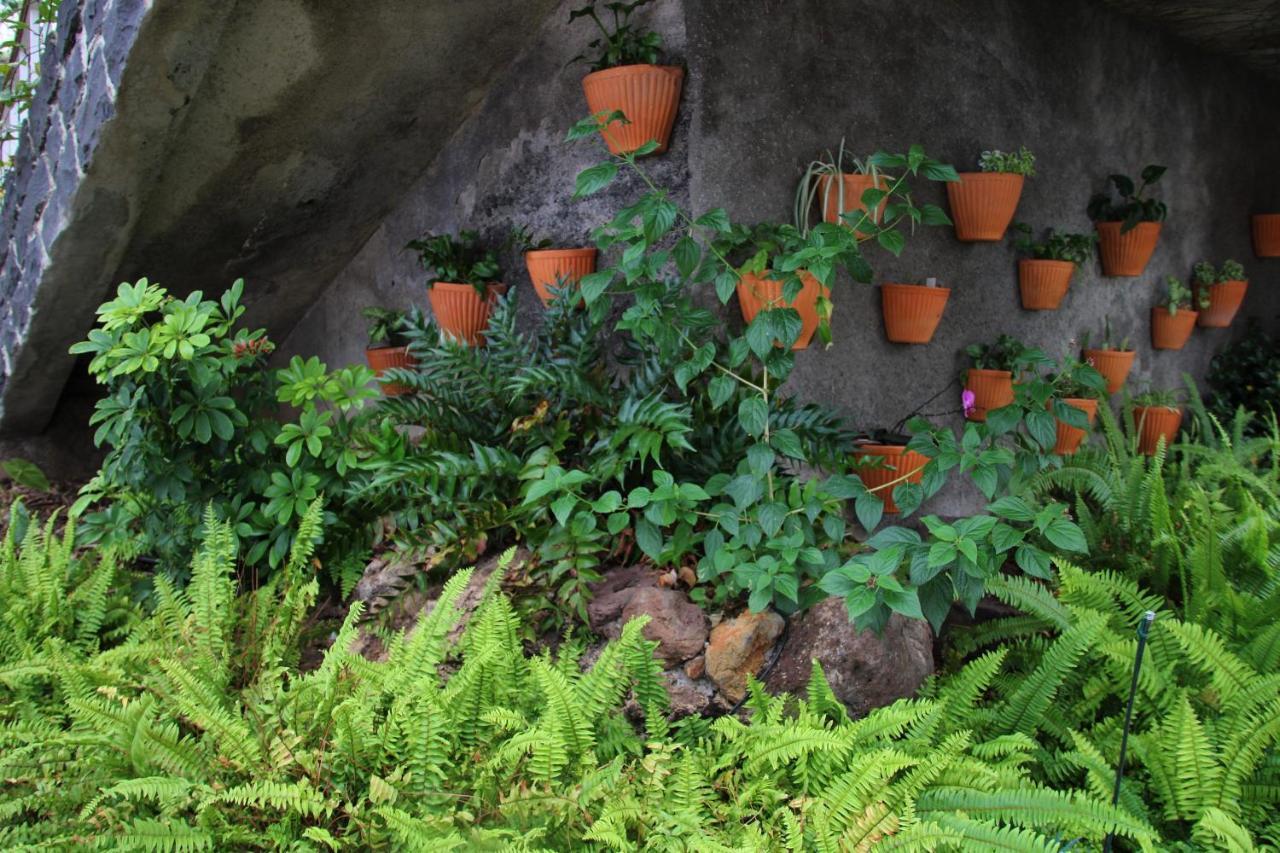 Bungalow Garden View