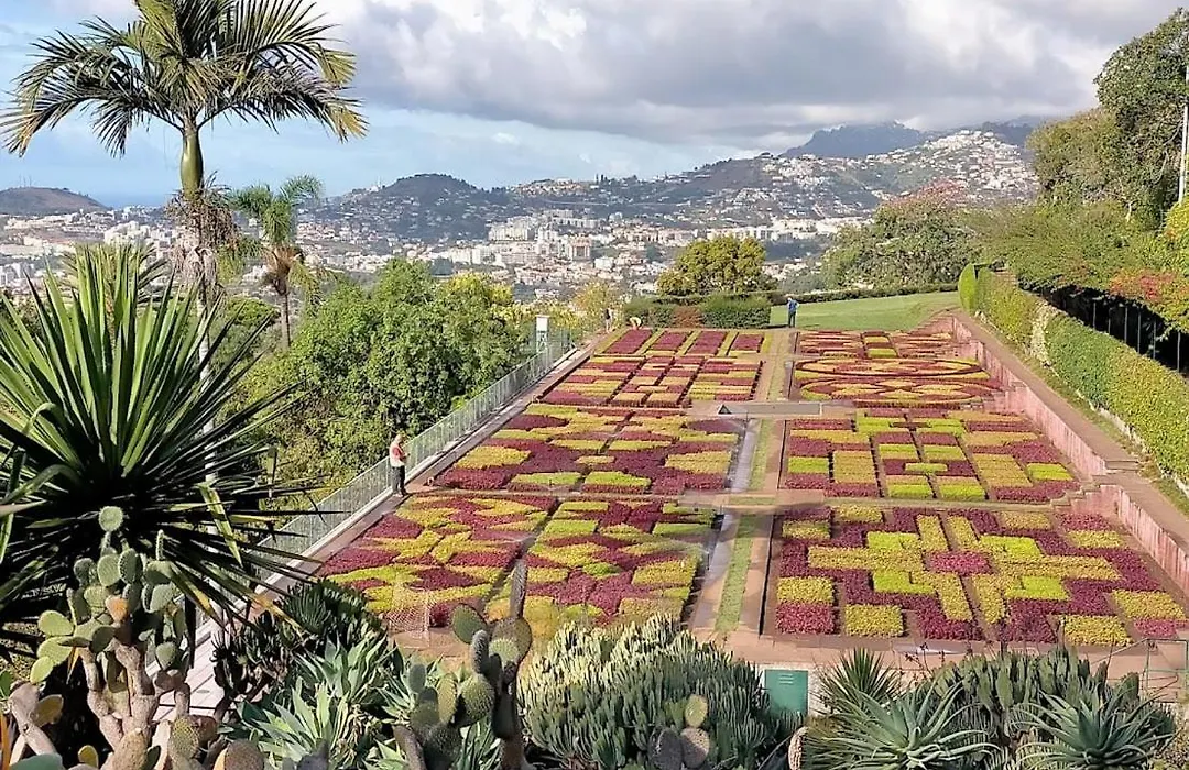 Funchal Peaceful Luxury 2 Bed Apartment-1