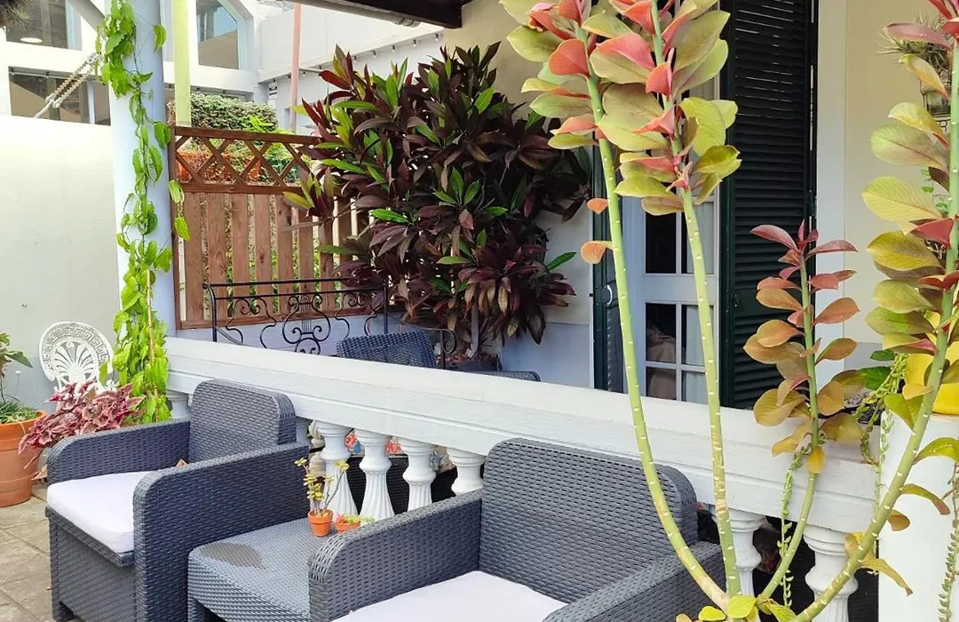 Tiny House Funchal-1