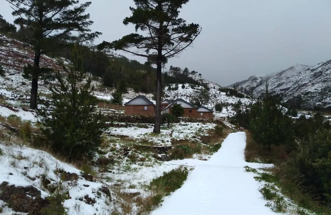 Mountain Eco Shelter 1-1