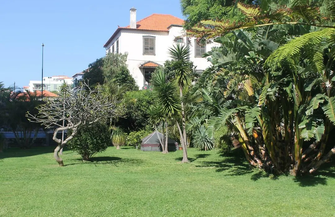Jasmineiro - Palms Palace Apartment-1
