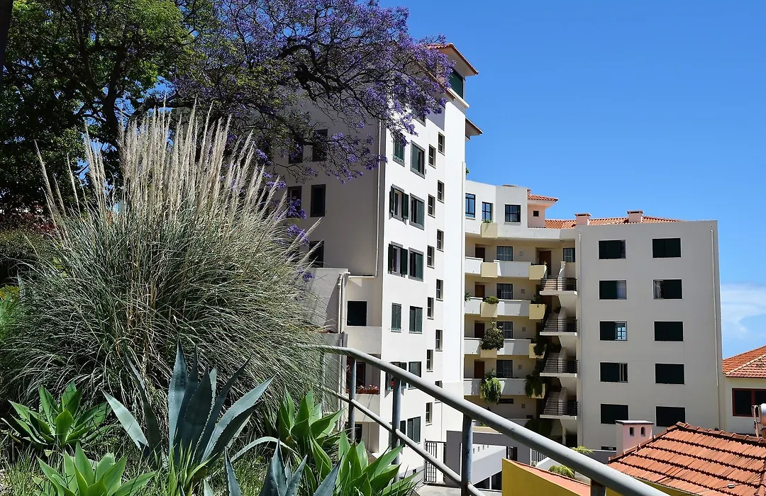 Encarnacao Apartment Funchal-1
