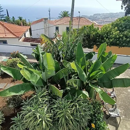 Vista Mar - Madeira Panoramic Villa- Promoção-2