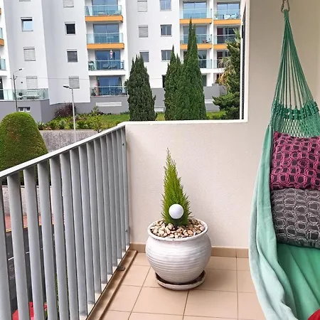 Suite Palms-3