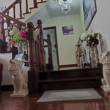 Villa Telo-2