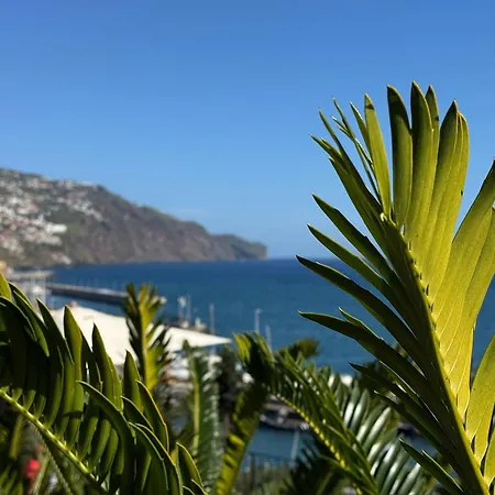 O Cantinho Do Ze-3