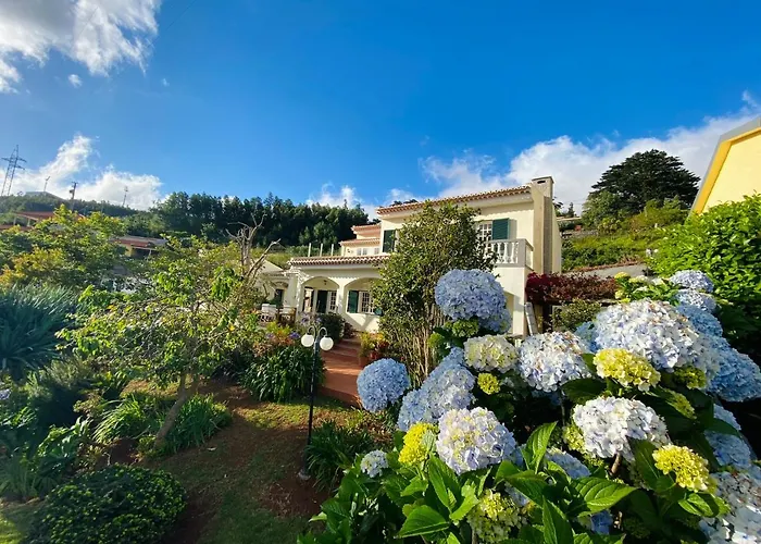 Villa Paraiso - Traumgarten, Meerblick, Wandern Und Golf Funchal  admite animales