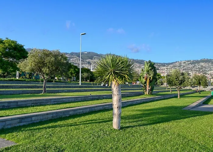 Beco Santa Emilia 4Q, A Home In Madeira Funchal  admite animales