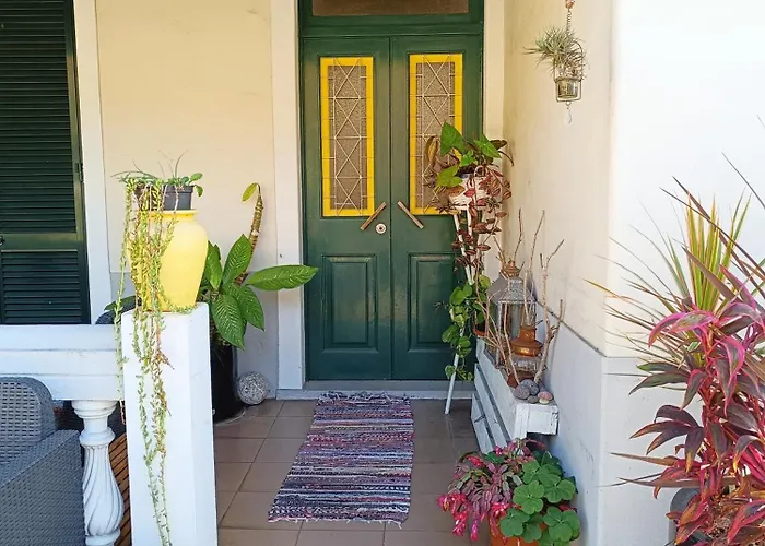 Home & Flower - Private Bedrooms Funchal admite animales