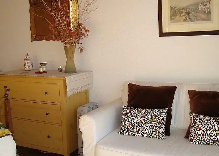 Boutique Apartamento Charmoso No Funchal, Com Grande Jardim E Vista Esplendida