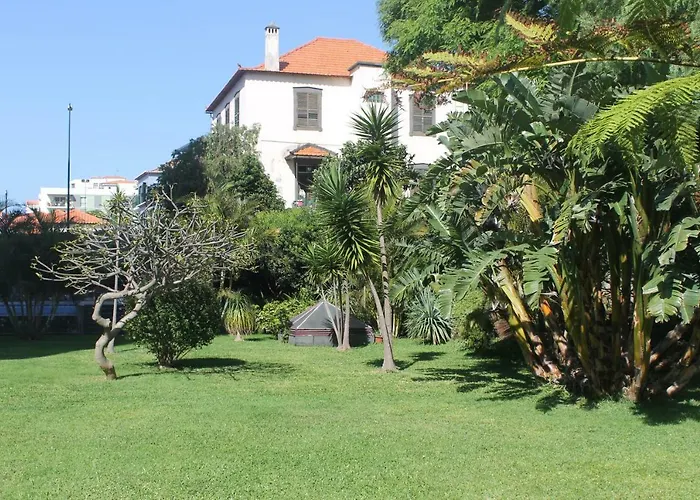 Jasmineiro - Palms Palace Apartment Funchal  che accetta animali