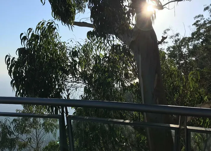 Apartamentos Do Mar 303 Funchal 